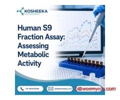 Human S9 Fraction Assay: Assessing Metabolic Activity