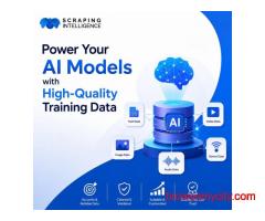 Power Your AI Models with High-Quality Training Data