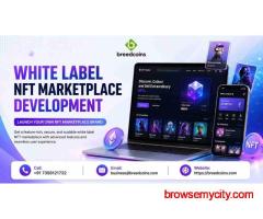 Launch Your NFT Business with White Label NFT Marketplace Development