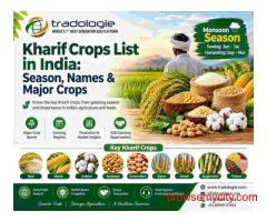 Kharif Crops List in India: Season, Names & Major Crops