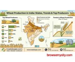 Wheat Production in India: States, Trends & Top Producers