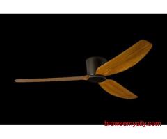 Premium Designer Ceiling Fan in Home