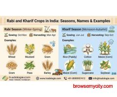 Rabi and Kharif Crops in India: Seasons, Names & Examples