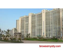 Buy Elegant Apartments at DLF The Magnolias Gurgaon