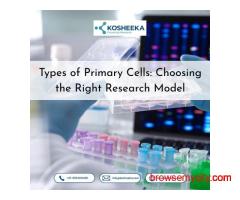 Types of Primary Cells: Choosing the Right Research Model