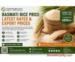 Basmati Rice Price: Latest Rates & Export Prices