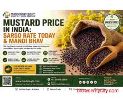 Mustard Price in India: Sarso Rate Today & Mandi Bhav
