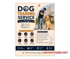 Dog Training Service in Chandigarh