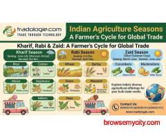 Indian Agriculture Seasons: Rabi, Kharif & Crop Seasons