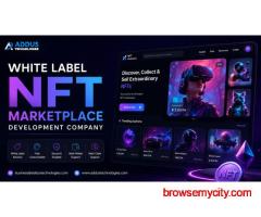 Planning to Enter the White Label NFT Marketplace Business?