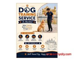 Dog Training Service in Amritsar