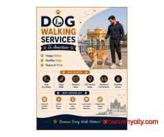 Dog Walking Services in Amritsar
