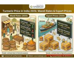 Turmeric Price in India 2026: Mandi Rates & Export Prices