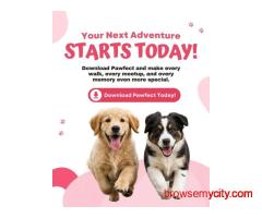 Best Pet Match App for Dogs: Why Pet Parents Are Choosing Pawfect
