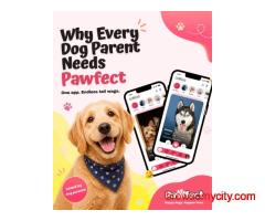 Best Pet Match App for Dogs: Why Pet Parents Are Choosing Pawfect