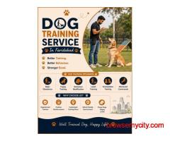 Dog Training Service in Faridabad