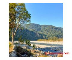 10 Smart Corbett Booking Tips for a Memorable Wildlife Holiday