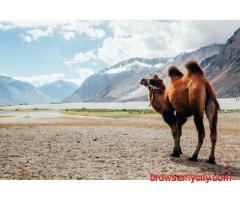 Ladakh Tour Packages for Couples, Families & Adventure Seekers
