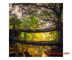 North East Tour Packages : Explore Northeast India