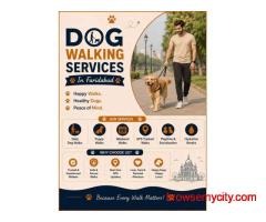 Dog Walking In Faridabad
