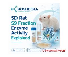 SD Rat S9 Fraction Enzyme Activity Explained