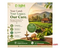 Farm Land in Kanakapura Road – Managed Farmland for a Greener Lifestyle