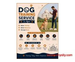 Dog Training Service in Agra
