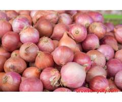 Kandanomics: Why the onion keeps toppling prices and what the government is doing to break the cycle