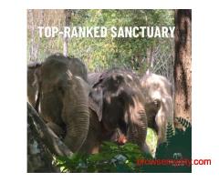 best Elephant locations
