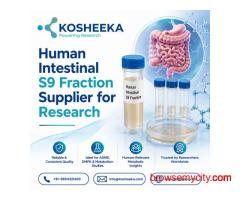Human Intestinal S9 Fraction Supplier for Research