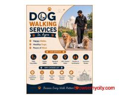 Dog Walking Services in Agra