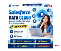 Salesforce Data Cloud Online Training | Join Our New Batch!
