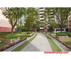 Central Park 1 in Gurgaon on Sale – Experience Luxury Living at Its Finest