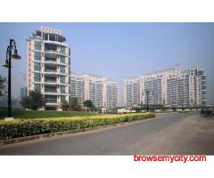 DLF Aralias in Gurgaon on Sale – Experience Elite Luxury Living