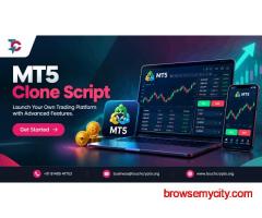 Planning a Scalable Forex Platform with an MT5 Like Script