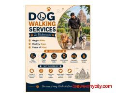 Dog Walking Services in Bhubaneswar