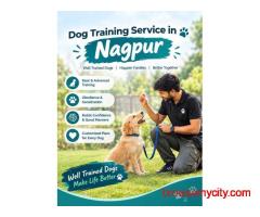 Dog Training Service in Nagpur