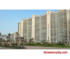 DLF The Magnolias Gurgaon On Sale for Premium Home Buyers