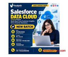 Salesforce Data Cloud Online Training | New Batch Open!