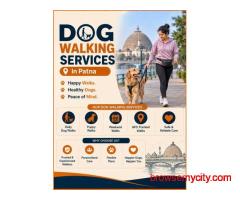 Dog Walking Services in Patna