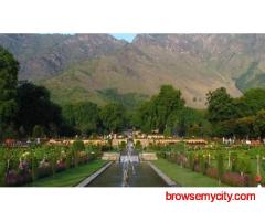 Srinagar Delights Tour