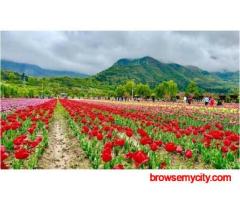 Srinagar Delights Tour