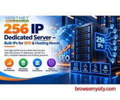 256 IP Dedicated Server – Bulk IPs for SEO & Hosting Needs
