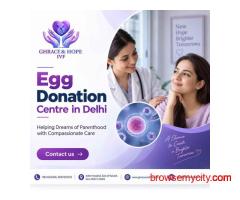 Key Steps in Donor Egg Assisted Reproduction