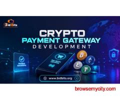 Launch Cryptocurrency Payment Gateway Development with Wallets