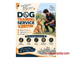 Dog Training Service in Raipur