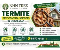 Termite Pest Control Services in Hyderabad