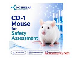 CD-1 Mouse for Safety Assessment