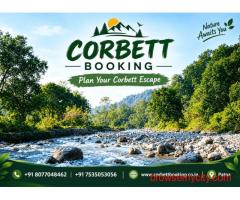 Where Nature Meets Comfort: Rethinking Your Corbett Booking