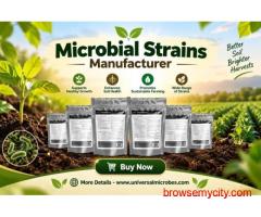 Microbial Strains Manufacturer for High-Quality Biological Solutions – Shop Now